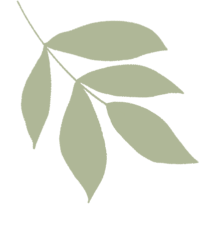 国学教育机构_国学教育_国学教育培养孩子什么