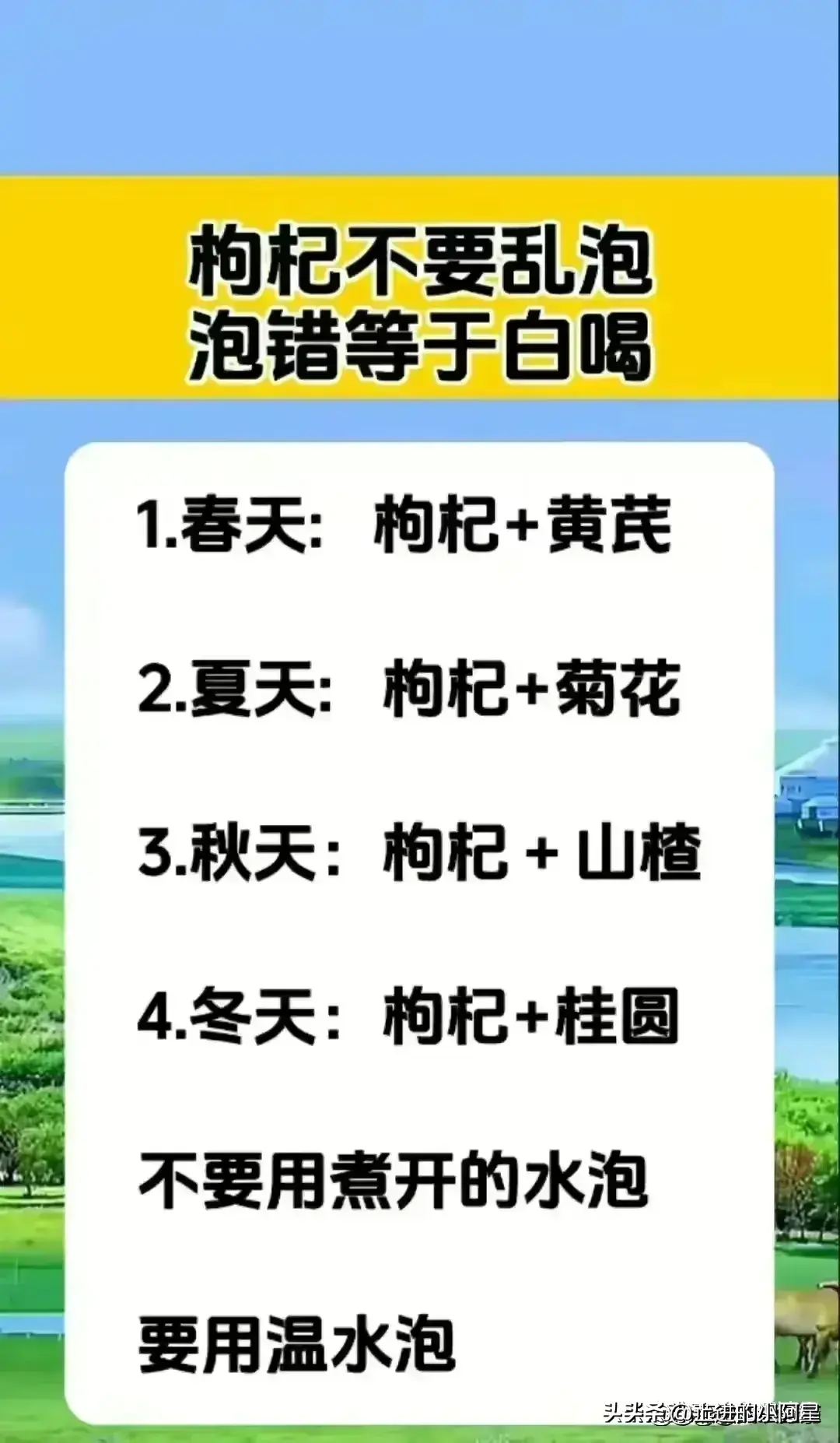 探索中国历史_中国探索史手抄报_中国的探索史