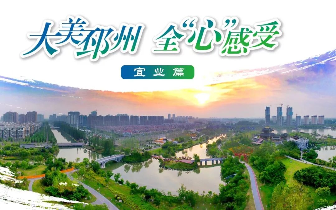 邳州人力资源网和社会保障网_邳州市人力资源和社会保障网_邳州市人力资源与社会保障