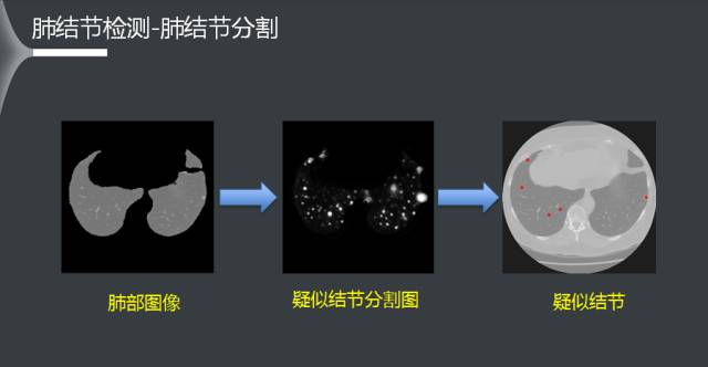 探索视频_视频探索什么意思_视频探索人生意义