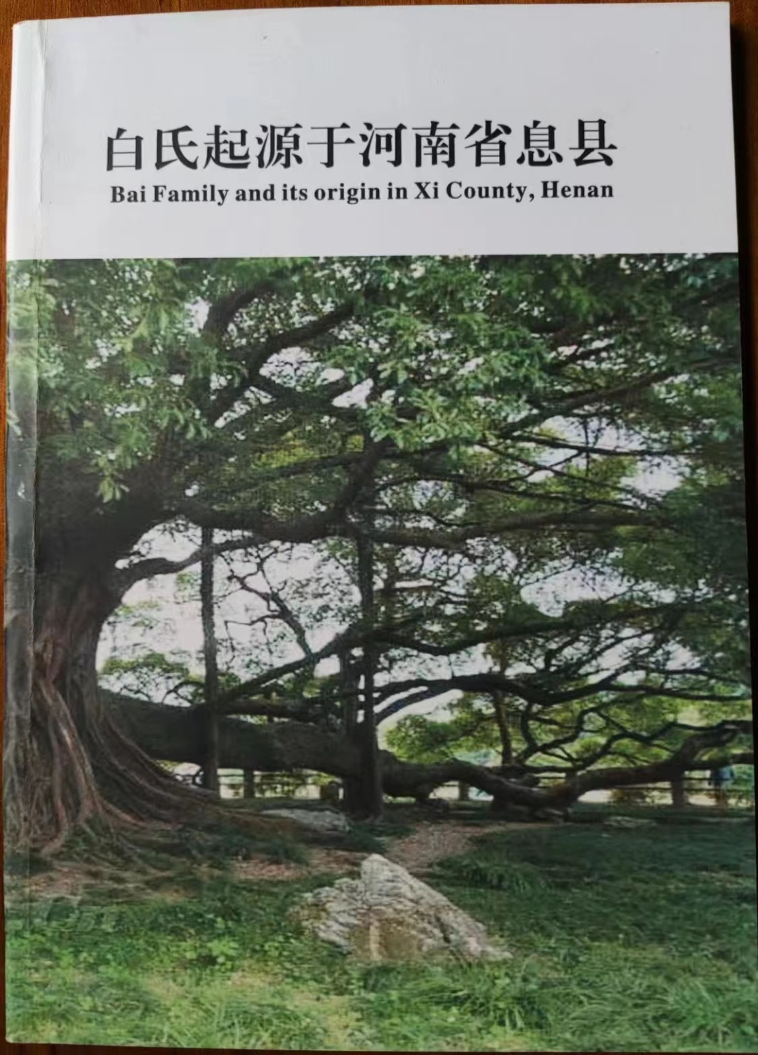 历史名人姓白的_名人历史白姓排名_白姓历史名人