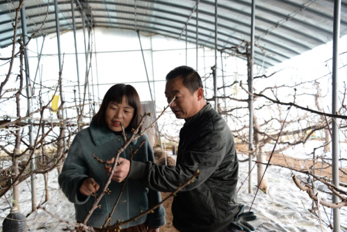 陕西历史博物馆招聘_陕西历史博物馆编制_陕西历史博物馆事业单位招聘