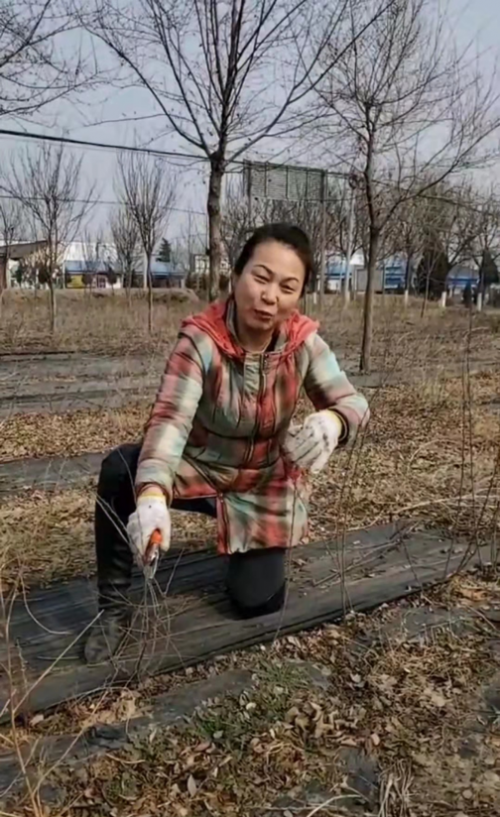 陕西历史博物馆招聘_陕西历史博物馆编制_陕西历史博物馆事业单位招聘