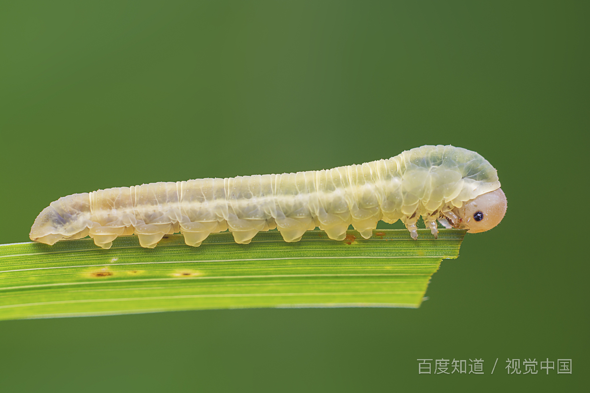 现在社会赚钱容易吗_赚钱社会现在去干什么_现在的社会如何去赚钱