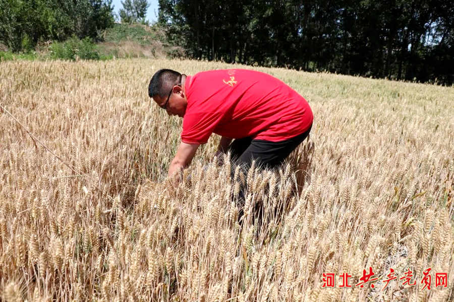 学校中国知网怎么用_学校中国人寿学生保险怎么理赔_中国学校