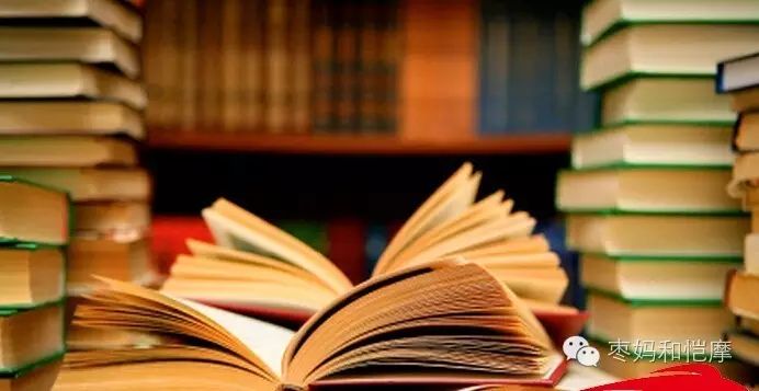 龙应台哲理句子_龙应台我们为什么要学文史哲_龙应台文学历史哲学