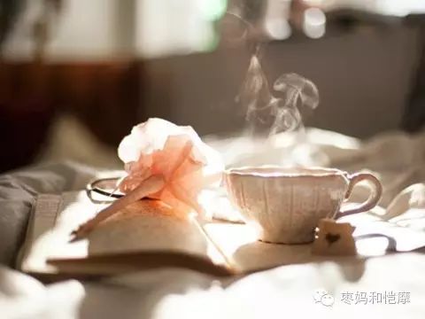 龙应台我们为什么要学文史哲_龙应台哲理句子_龙应台文学历史哲学