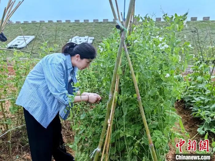 火星探索中国_火星探索成果_中国探索火星的历程