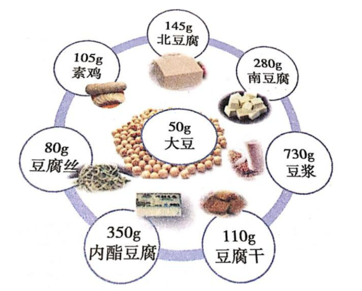 学生中国画_学生中国传统文化_中国学生