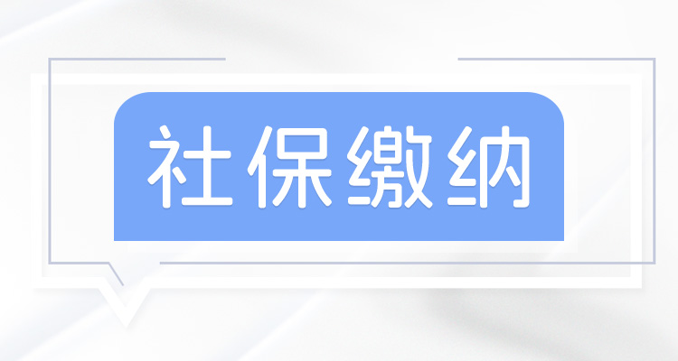 社会保险交多少钱_保险钱交社会保险多少_交保险的钱