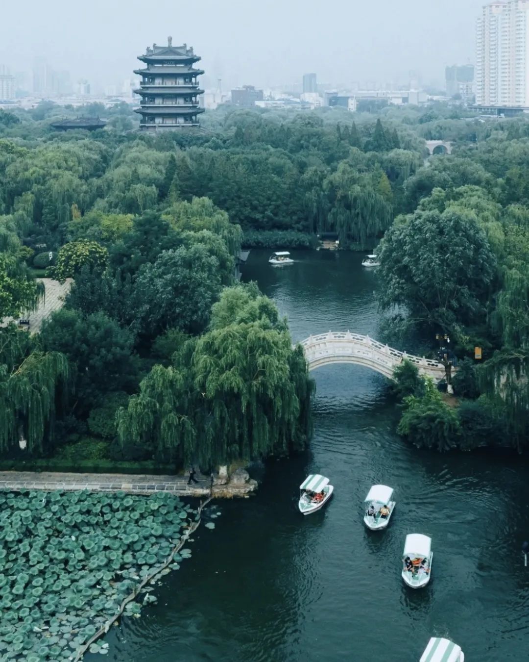 济南文史课_济南文史_济南文史专家张继平