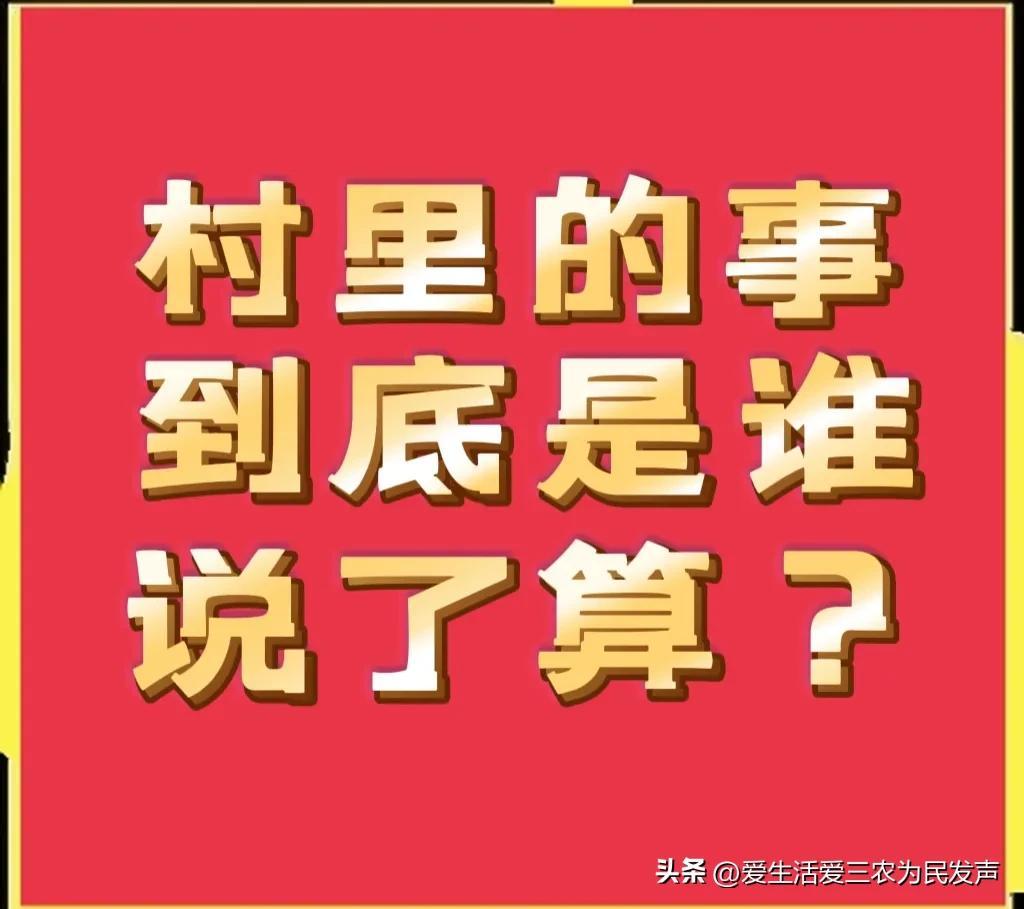 村级社会组织_村委社会组织会是干什么的_村委会是社会组织吗