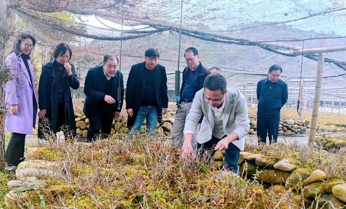 文史研究馆馆员_文史研究馆_文史研究馆馆长什么级别