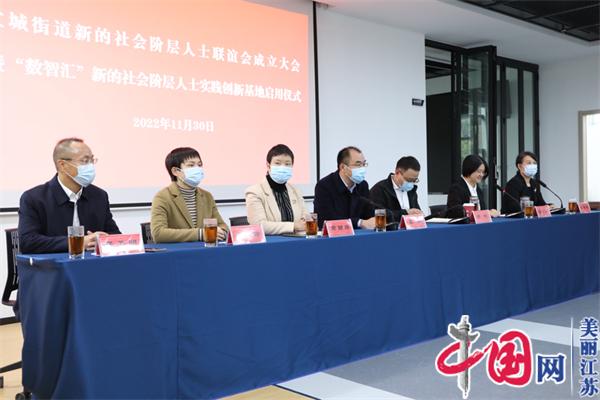 宜兴市宜城街道新的社会阶层人士联谊会成立暨“数智汇”新阶层实践创新基地启用