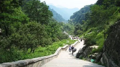 上海泰山公寓历史_泰山的历史_泰山历史文化价值