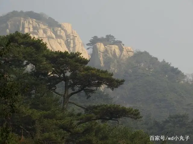 泰山的历史_泰山历史文化价值_泰山泰山的诗句