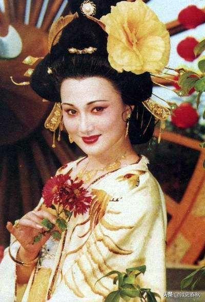 唐书新发现_唐书新唐书_新唐书