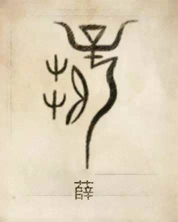 母系社会的姓_母系社会的姓氏的来历_母系氏族社会姓氏