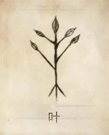 母系氏族社会姓氏_母系社会的姓_母系社会的姓氏的来历