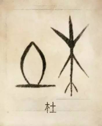 母系社会的姓_母系氏族社会姓氏_母系社会的姓氏的来历