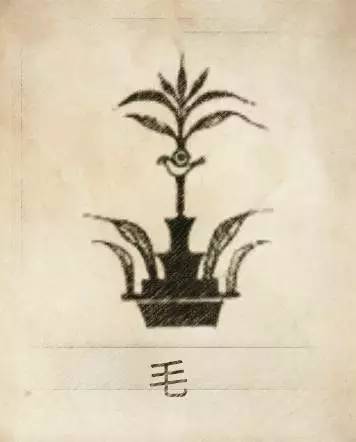 母系社会的姓_母系氏族社会姓氏_母系社会的姓氏的来历