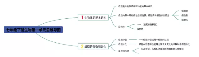 七年级上册历史书内容_七年级上册历史书内容_七年级上册历史书内容