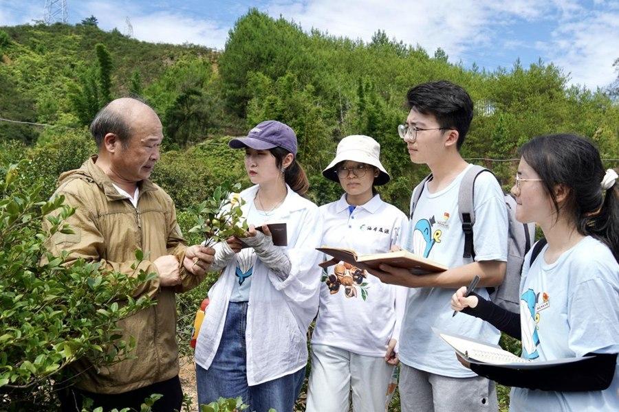 振兴乡村实践社会实践报告_乡村振兴社会实践_乡村振兴社会实践