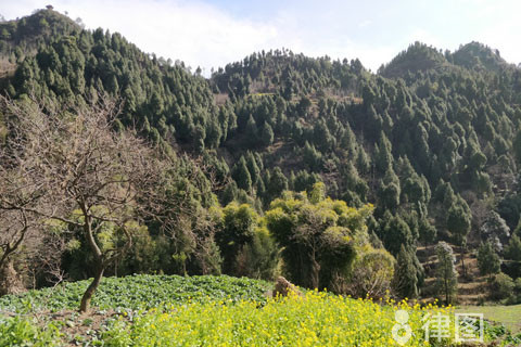 宅基地历史遗留问题应该怎么处理？