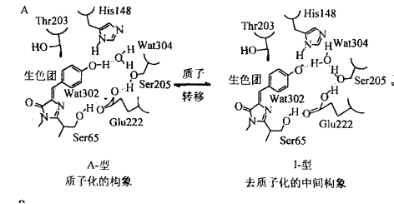 酶的研究历史_酶工程历史_酶的研究现状