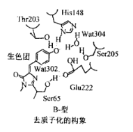 酶的研究现状_酶工程历史_酶的研究历史