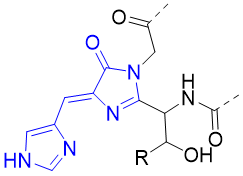 酶工程历史_酶的研究历史_酶的研究现状