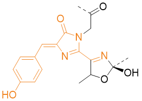 酶工程历史_酶的研究历史_酶的研究现状