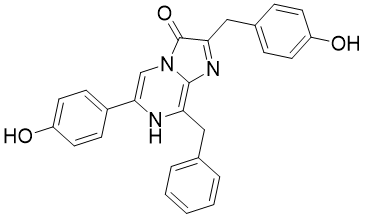 酶工程历史_酶的研究历史_酶的研究现状