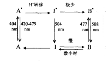 酶的研究现状_酶的研究历史_酶工程历史