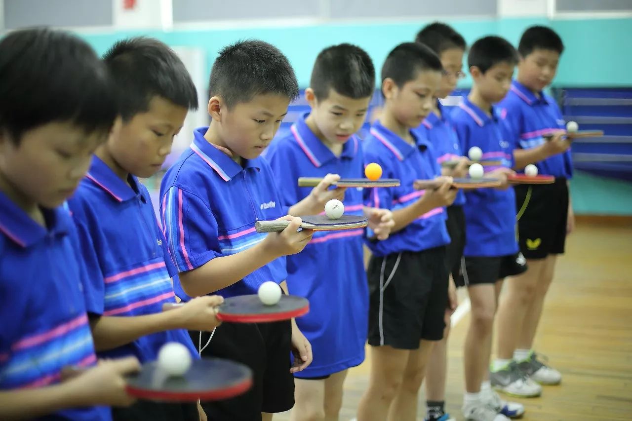 历史小学必知知识点_小学历史_历史小学几年级开始学