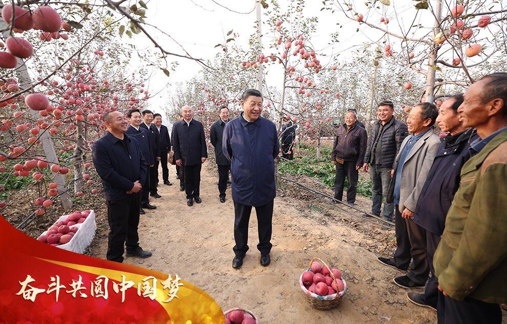 现在是小康社会吗_小康社会现在是什么样子_现在是小康社会了