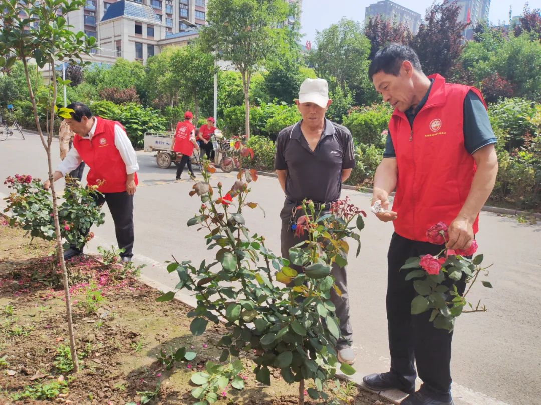 社区是社会治理_治理社区社会是什么模式_社区治理社会治理
