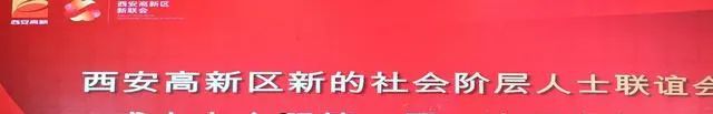 新的社会阶层人士界别_新的社会阶层人士所在_新的社会阶层人士的重要性