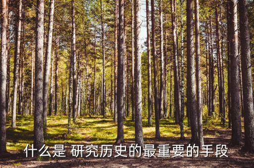 什么是 研究历史的最重要的手段