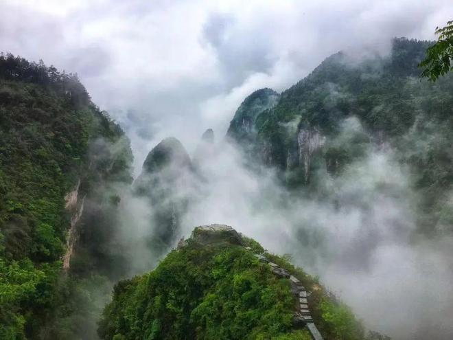 酒鬼酒历史_酒鬼酒历史数据_酒鬼酒历史