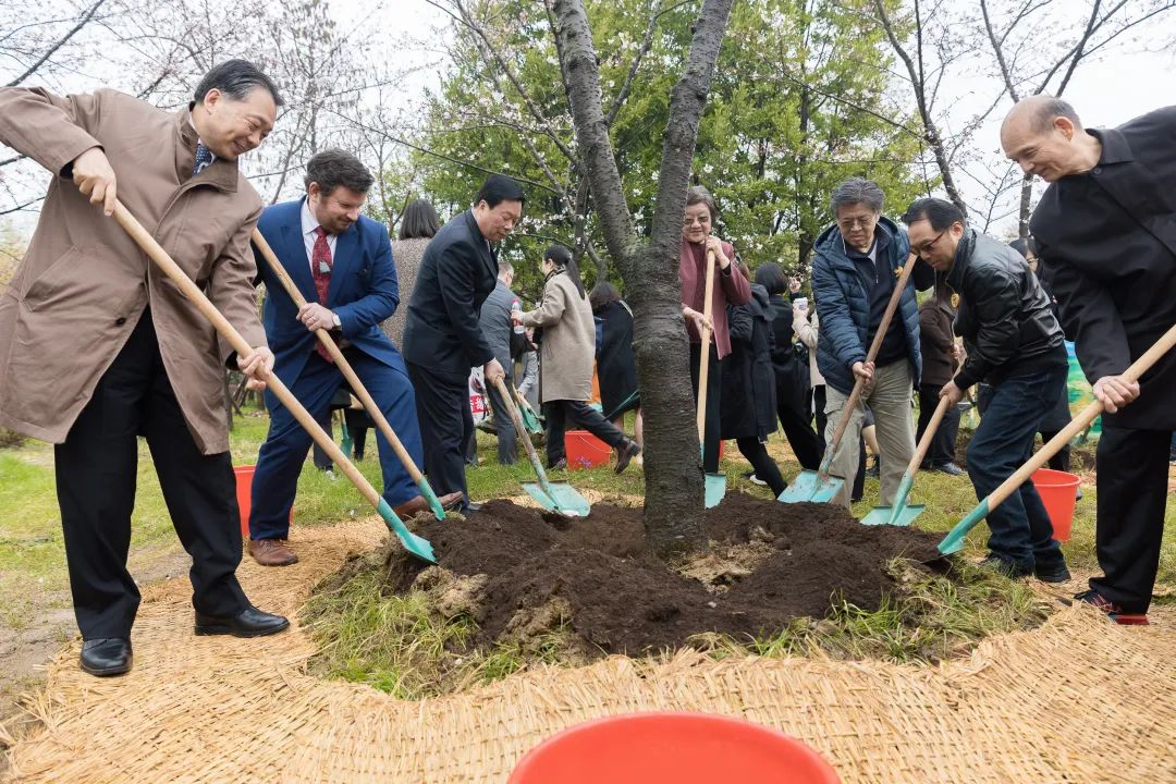 历史文脉分析_历史文脉研究_历史文脉研究现状