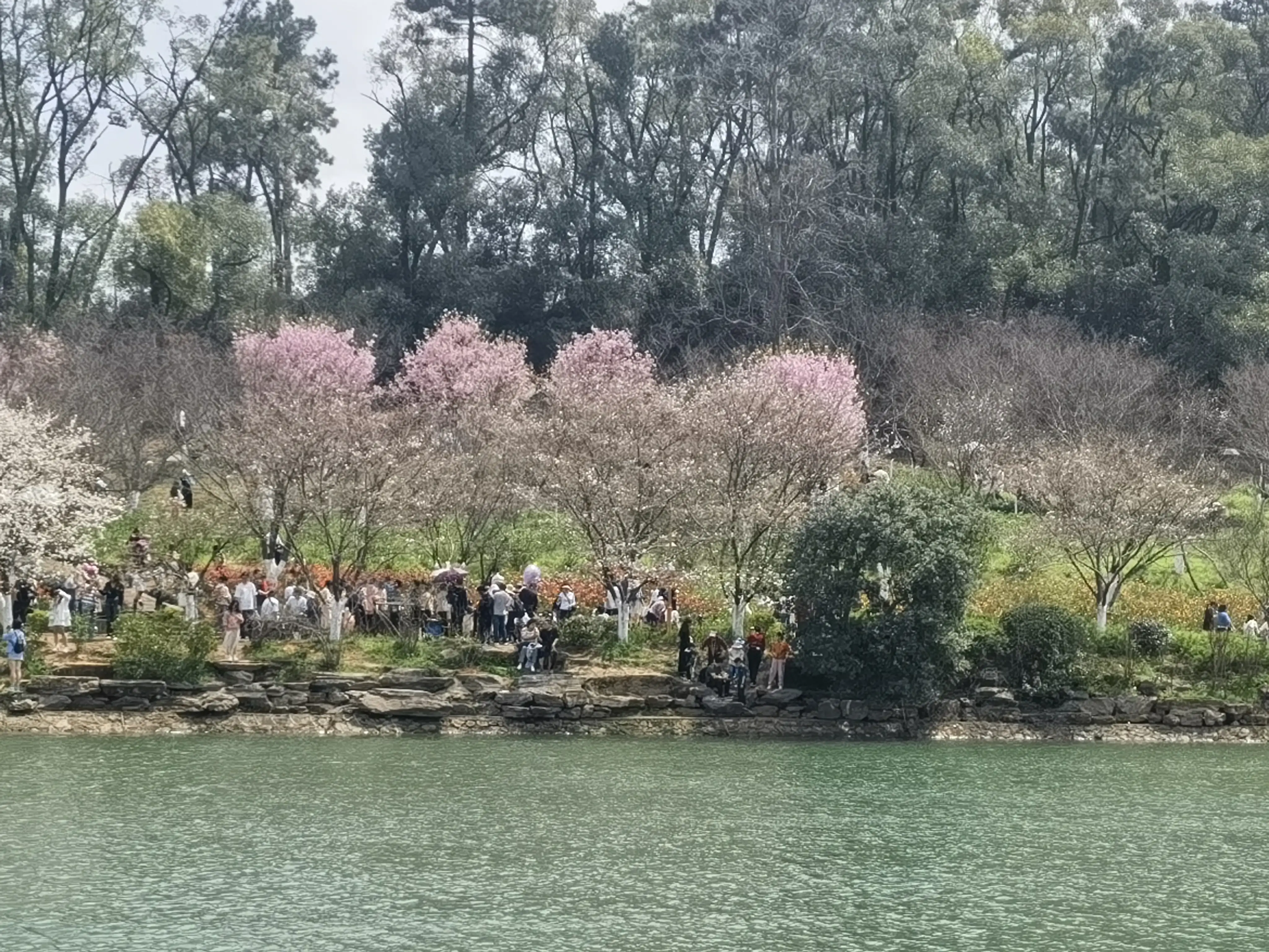 东周列国志是明代作家谁写的_东周列国志_东周列国志是谁写的