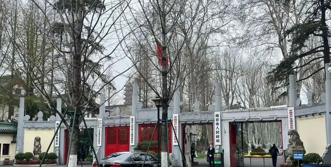 无锡鼋头渚樱花历史_樱花历史文化_樱花历史