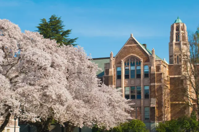 学校美国白蛾防控方案_美国学校_圣玛格丽特学校美国排名