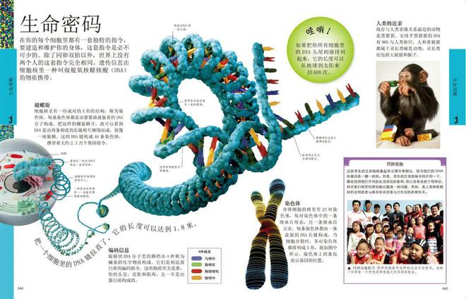 人类探索太空历史记录_人类探索太空的发展史_人类探索太空的历史