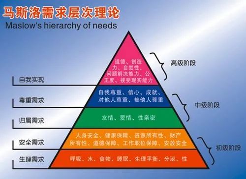 适应社会是什么意思呢_什么是社会适应_适应社会是个伪命题