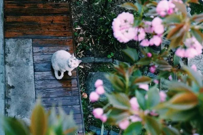 猜一下历史人物_猜历史人物人名_猜人物历史题