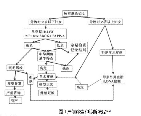 家庭社会关系_家庭与社会_家庭社会工作