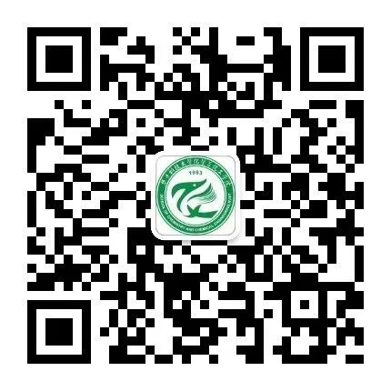 实践课程思政_思政课社会实践_思政课程社会实践