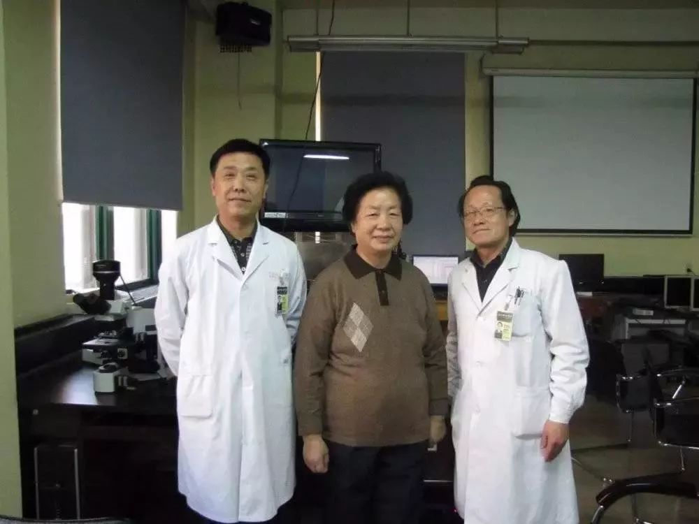 艾滋病的启源_艾滋病起源及发展史_艾滋病历史起源